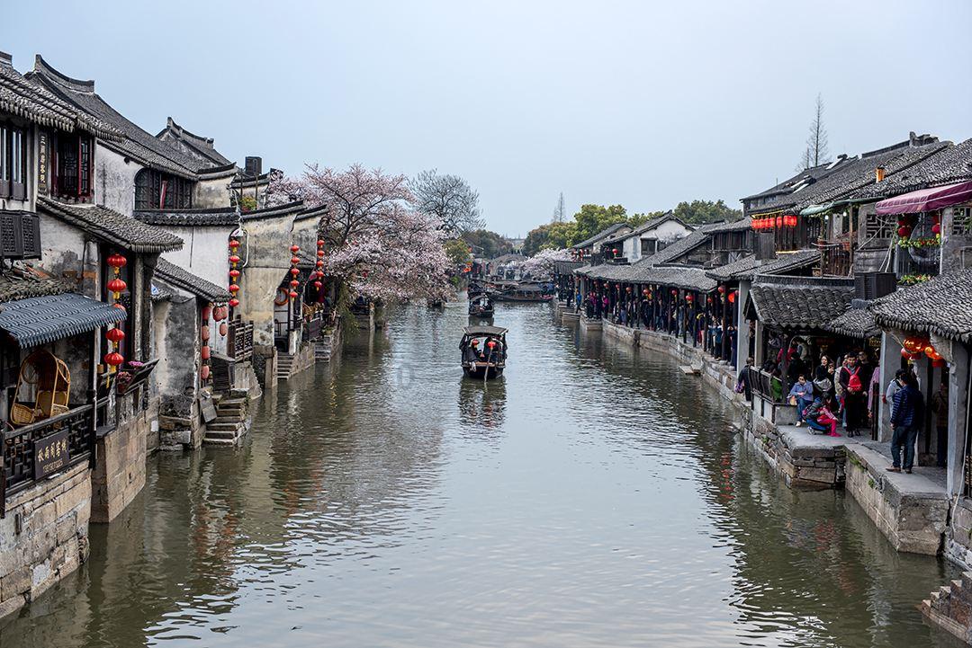 寻找迷路的松鼠